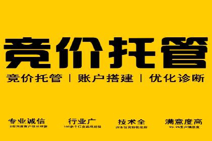 竞价SEM托管策略案例：从零到一的突破